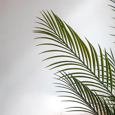 Appartamento La Alameda De Indautxu